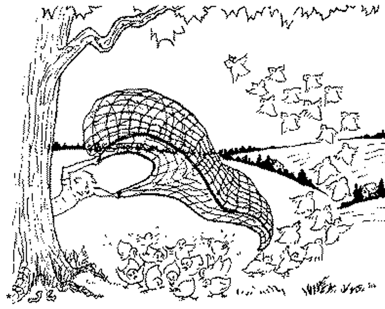 VUA CHIM CÚT  VÀ CHÀNG THỢ SĂN